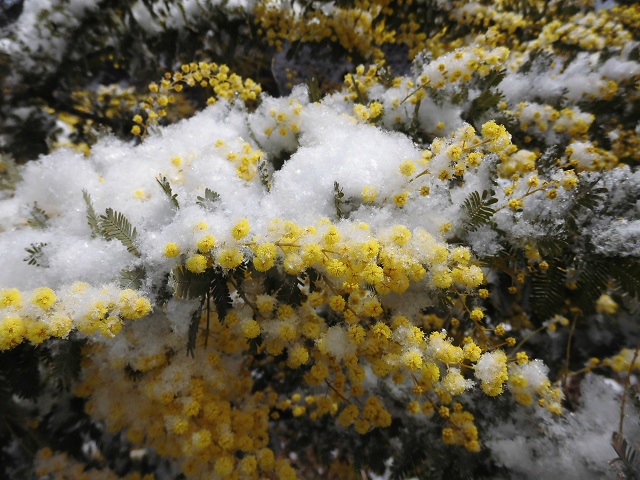 f0202291_10314899.jpg