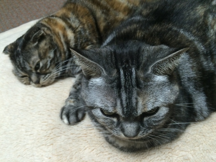 c0247096_10135732.jpeg