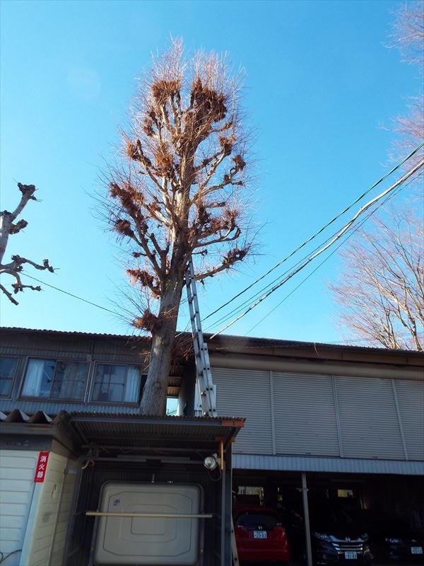 c0108198_1850463.jpg
