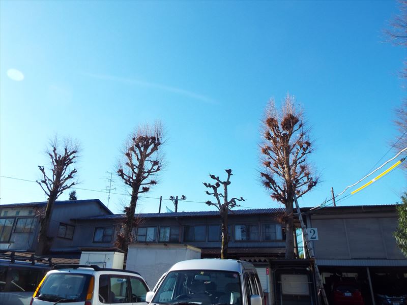 c0108198_1850524.jpg