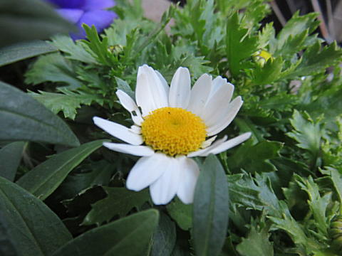 d0046702_10304519.jpg