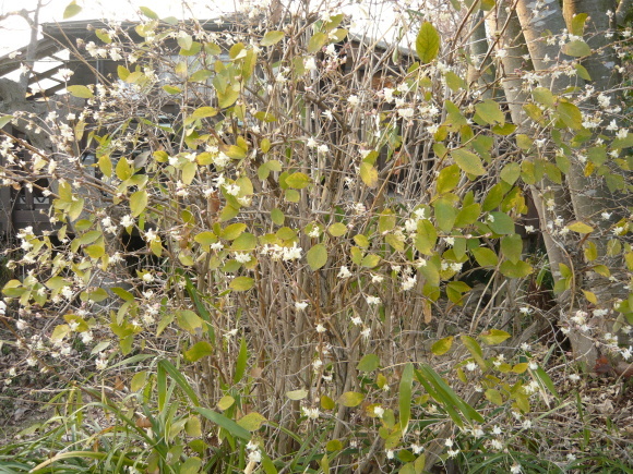a0139007_17090372.jpg