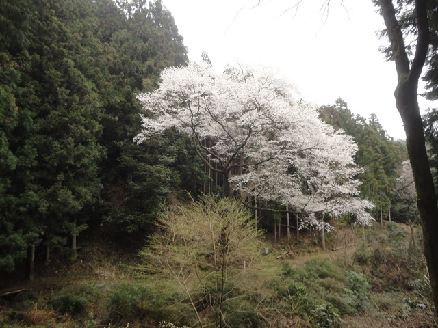 f0231709_236610.jpg