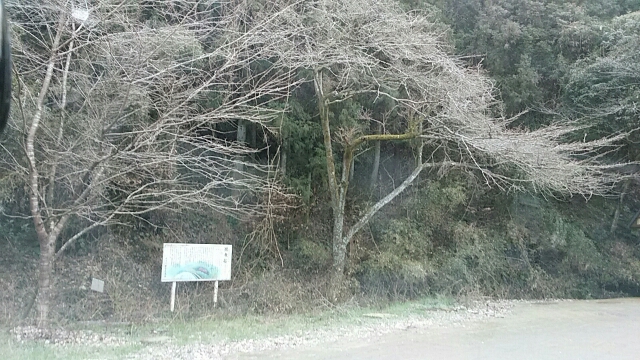 f0231709_2395227.jpg
