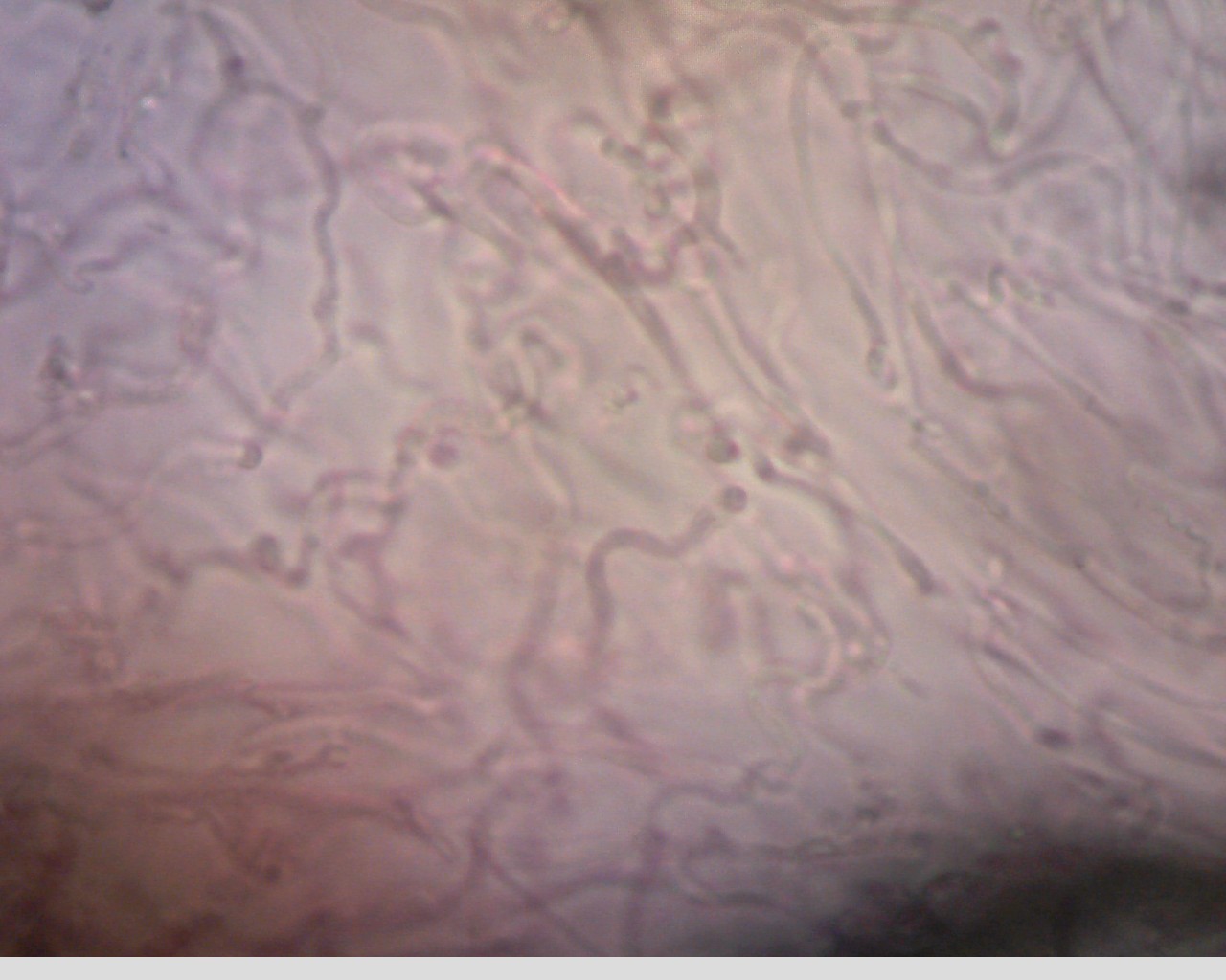 e0352220_23470216.jpg