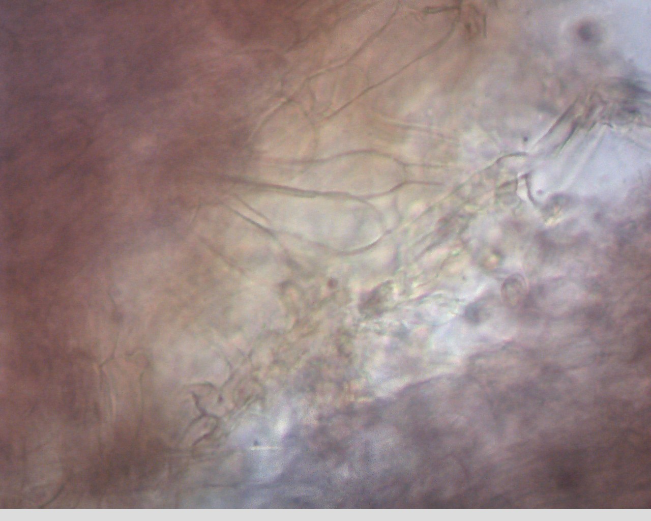 e0352220_23572564.jpg