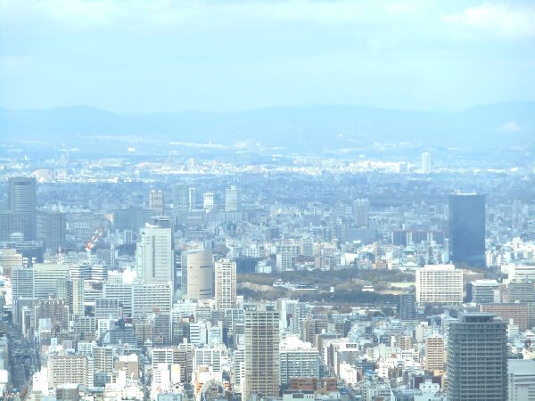 e0047322_2385011.jpg