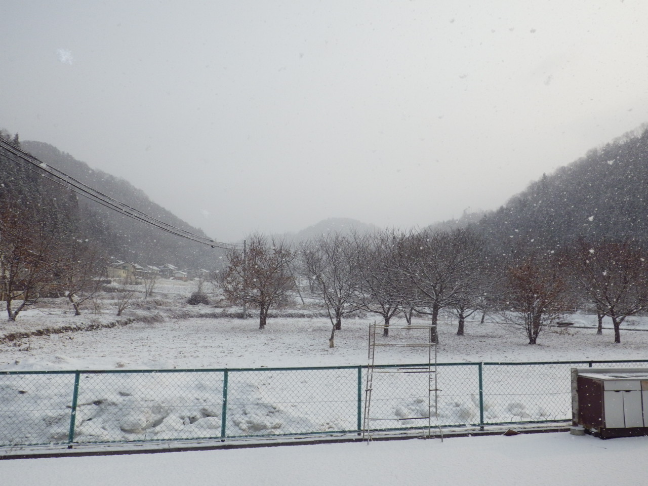 c0300035_14511623.jpg