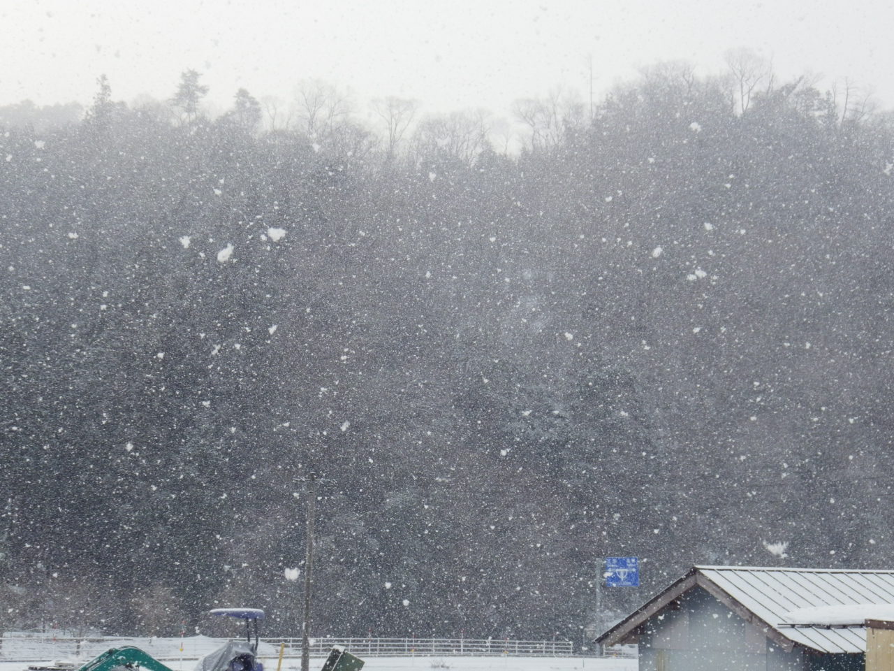 c0300035_14515152.jpg