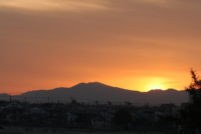 b0248954_19402550.jpg