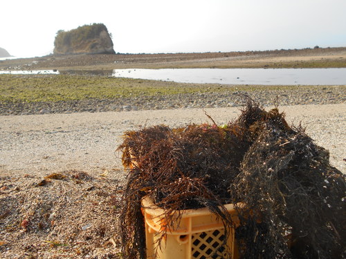 e0181260_205165.jpg