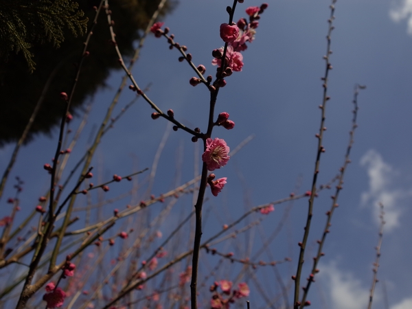 c0166668_0242886.jpg