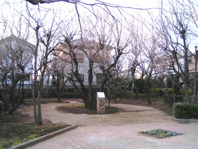 c0112172_263383.jpg