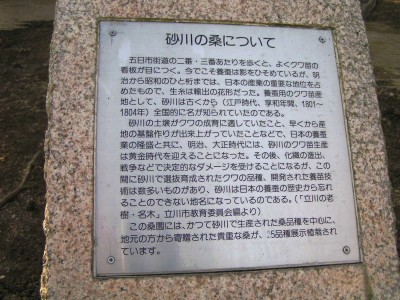 c0112172_264266.jpg