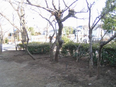c0112172_26506.jpg