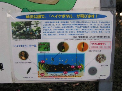 c0112172_272955.jpg