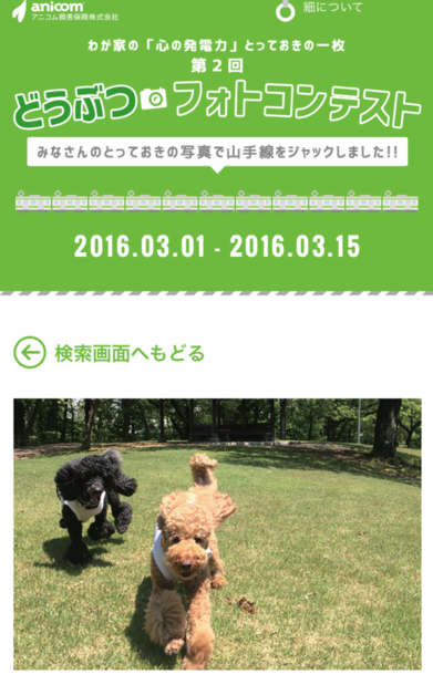 c0283778_12492834.png