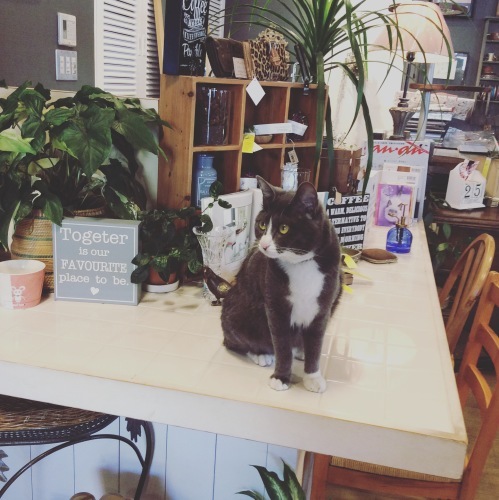 f0215684_17205737.jpeg
