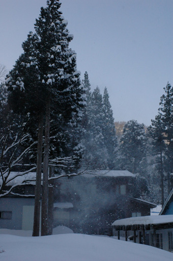 a0061599_7514683.jpg