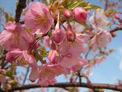 e0115301_025787.jpg