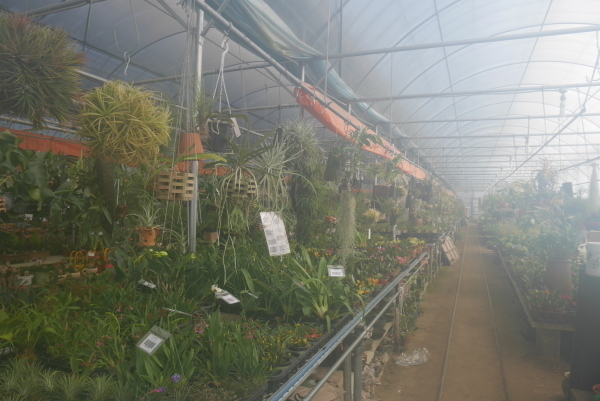 a0140305_00343521.jpg