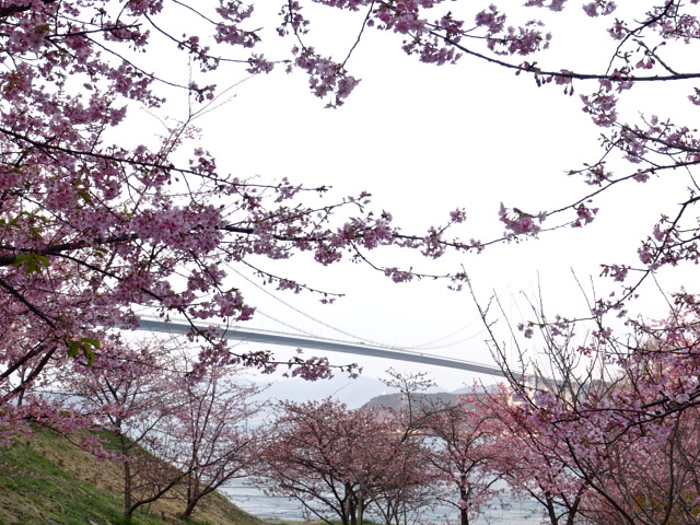 f0231709_0483856.jpg