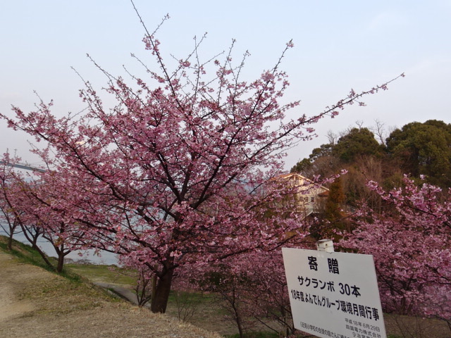 f0231709_0493139.jpg