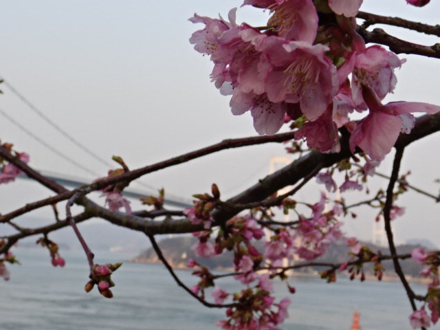 f0231709_049839.jpg