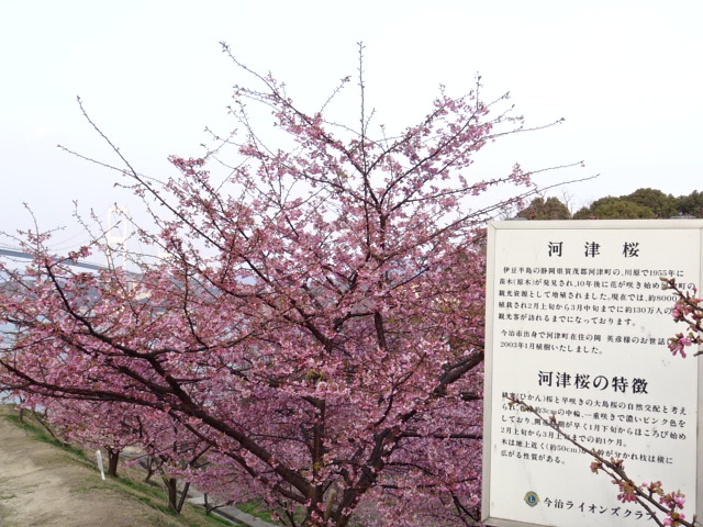 f0231709_050734.jpg