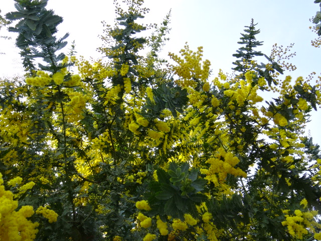 f0231709_10195775.jpg