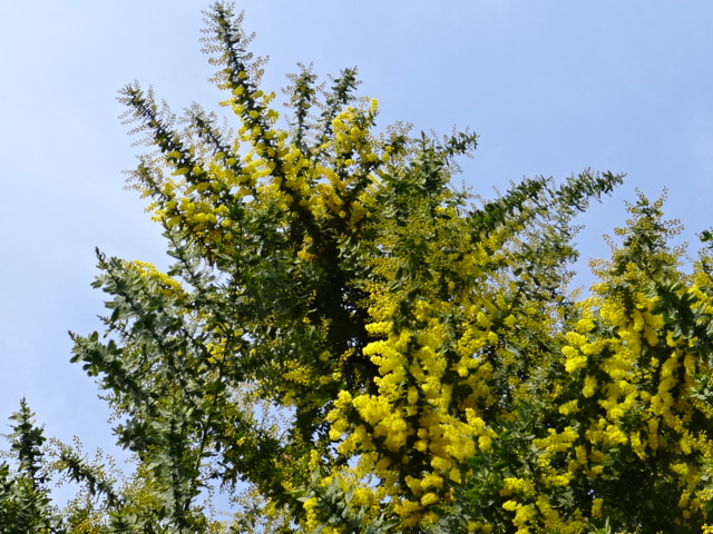 f0231709_1021184.jpg