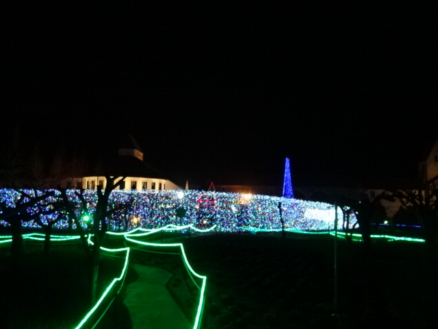 f0231709_1053398.jpg