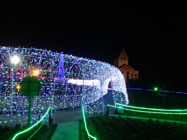 f0231709_23513277.jpg
