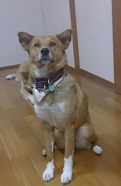 c0315313_21353737.jpg
