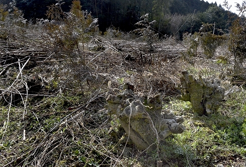 c0168815_23061906.jpg
