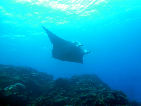 f0014842_17114508.jpg