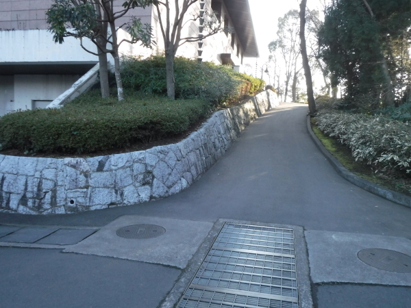 b0330744_06363981.jpg