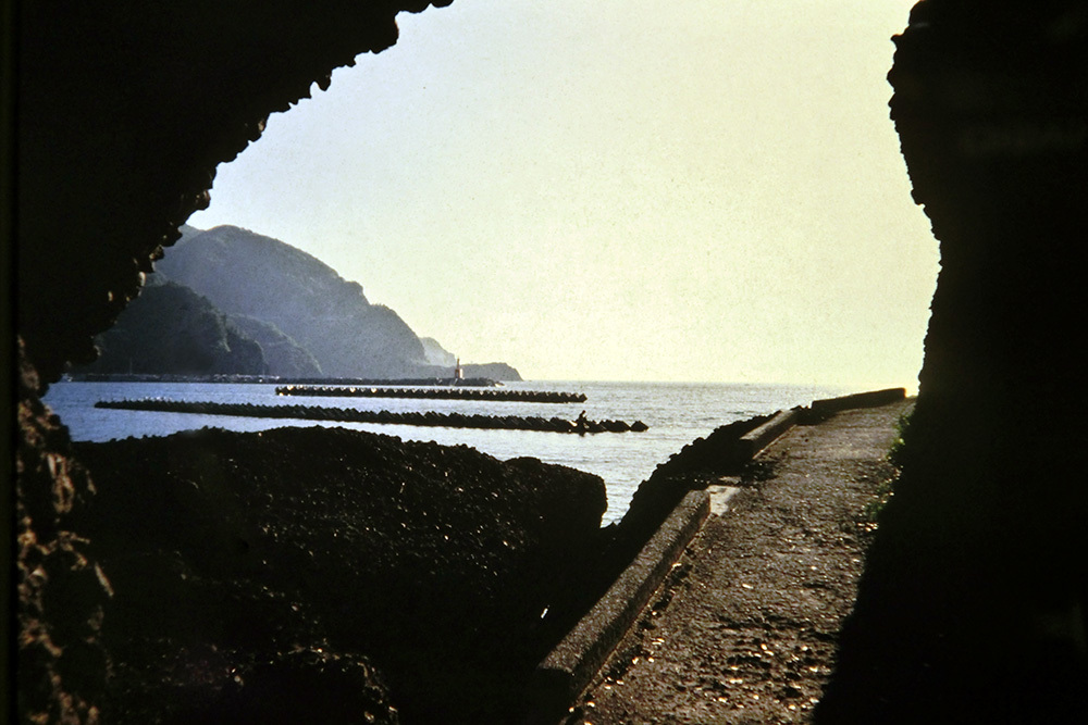 e0100152_11222017.jpg