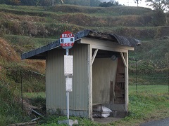d0158053_20533737.jpg