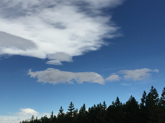 b0002156_04211290.jpg