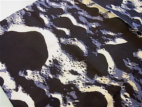 f0139457_1515305.jpg