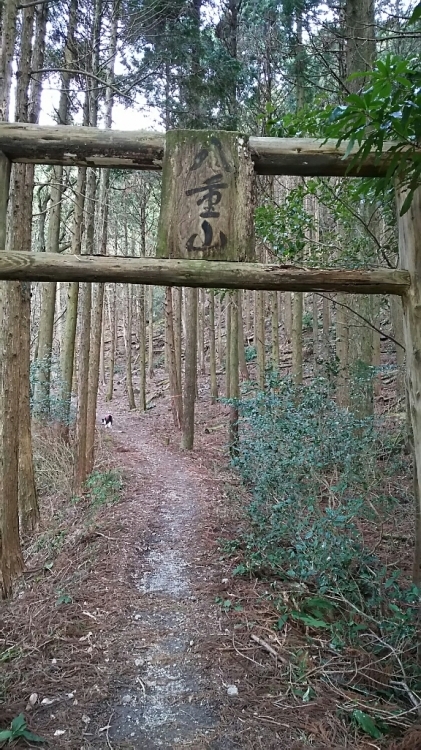 f0135159_21493305.jpg