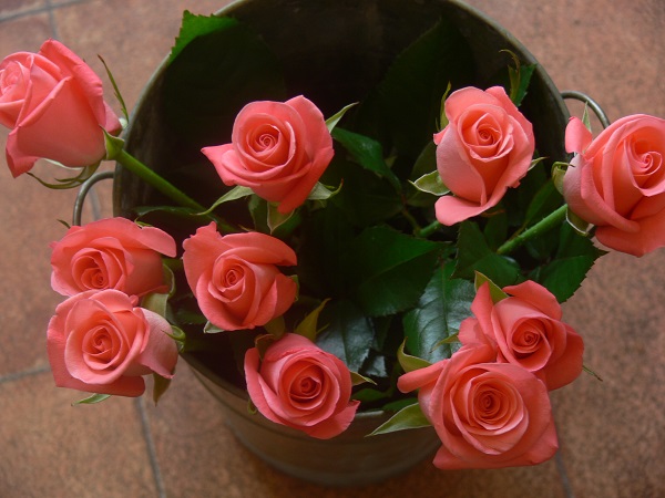 e0140986_15101573.jpg