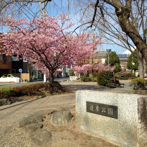 c0166293_1758084.jpg
