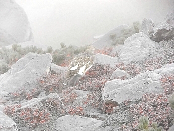b0177596_915186.jpg