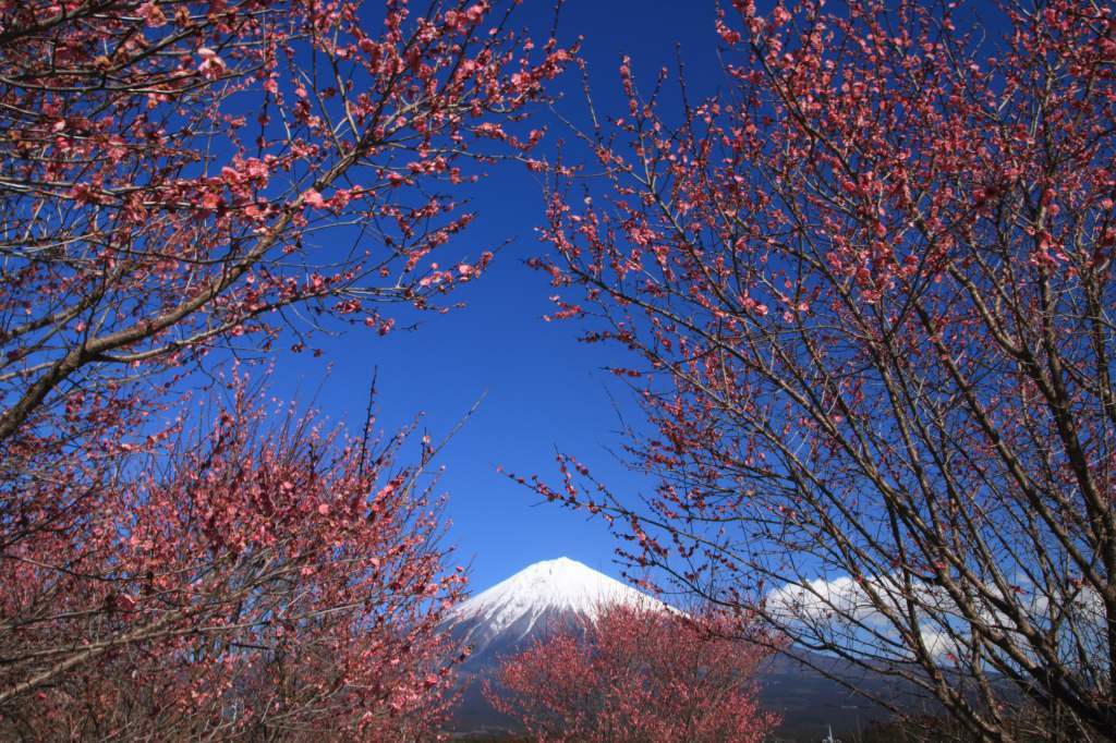 a0188405_01475668.jpg