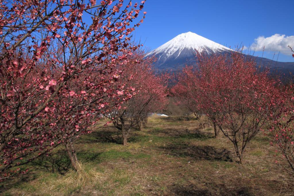 a0188405_01501631.jpg