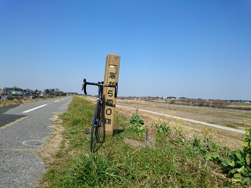 f0100911_21135336.jpg