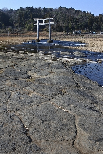 c0168815_23515931.jpg