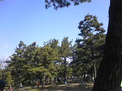 a0172222_07465287.jpg